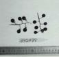 Click for 1 image(s) for this accession. FRUIT